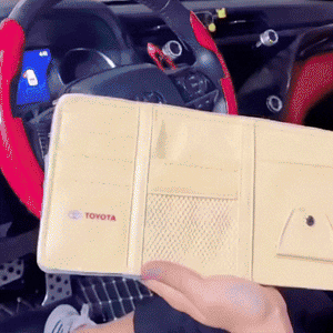 ORGANIZADOR DE VISERA DE AUTO MS